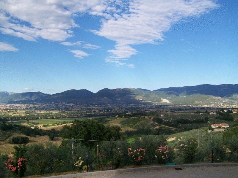 La Collina Del Sagrantino Montefalco