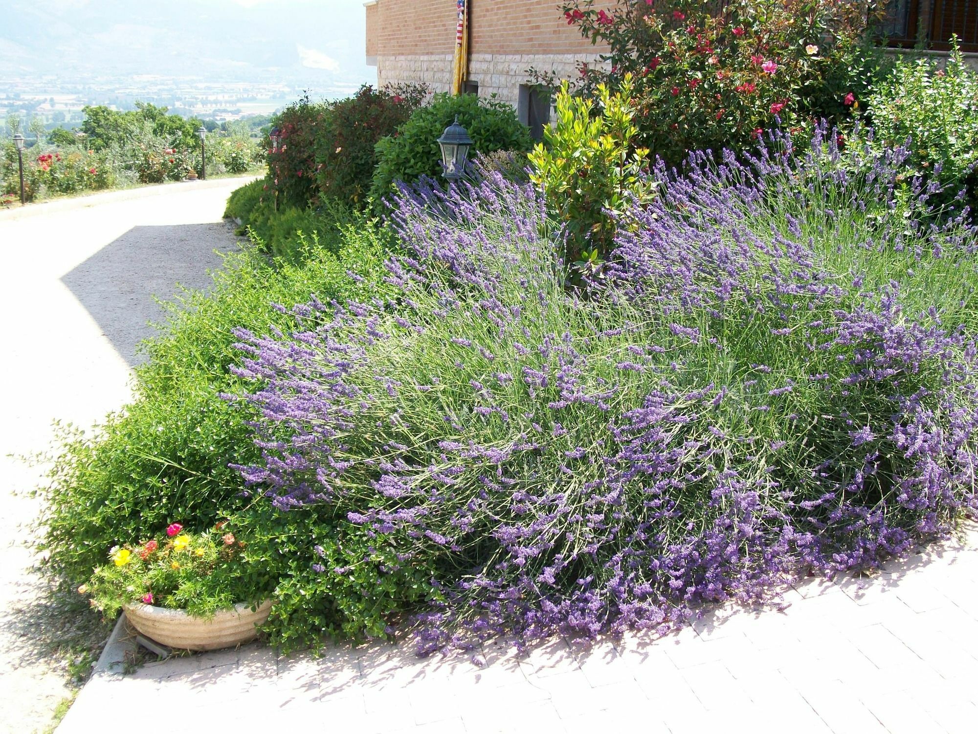 La Collina Del Sagrantino Country house Montefalco